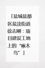 盐城盐都区盐渎街道徐志刚：项目建设工地上的“啄木鸟”